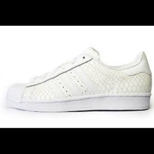 Adidas Super star